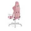 39539_raider_series_pink_white_h5