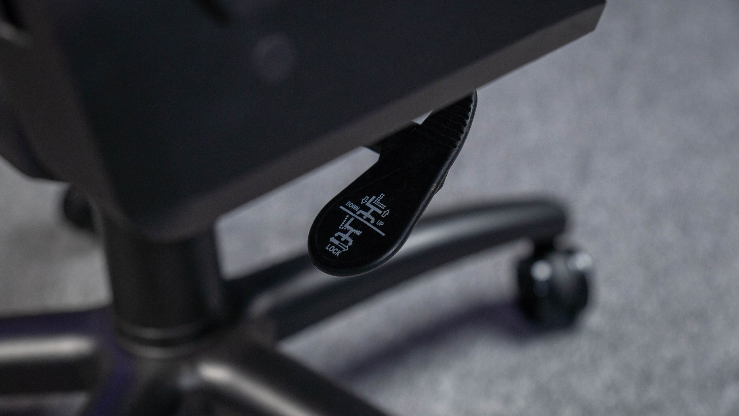 DSC09814-1753931049031-1753931217837