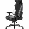 ghe-dxracer-craft-pro-stripes1-black-white-09_b69d7dfc5289470c98264db970fd4d30_master