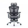 ghe-cong-thai-hoc-sihoo-a3-doro-c300-thinkpro Ghế công thái học ergonomic Sihoo a3 (Sihoo Doro C300) – Xám