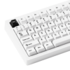 Ban-phim-co-MonsGeek-M1-V5-Black-on-white-Mirror-Switch-7