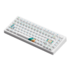 Ban-phim-co-MonsGeek-M1-V5-VIA-1980s-Botany-Switch-6
