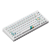 Ban-phim-co-MonsGeek-M1-V5-VIA-1980s-Botany-Switch-8