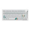 Ban-phim-co-MonsGeek-M1-V5-VIA-1980s-Botany-Switch-9
