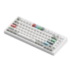 Ban-phim-co-MonsGeek-M1-V5-VIA-Recycling-Botany-Switch-6