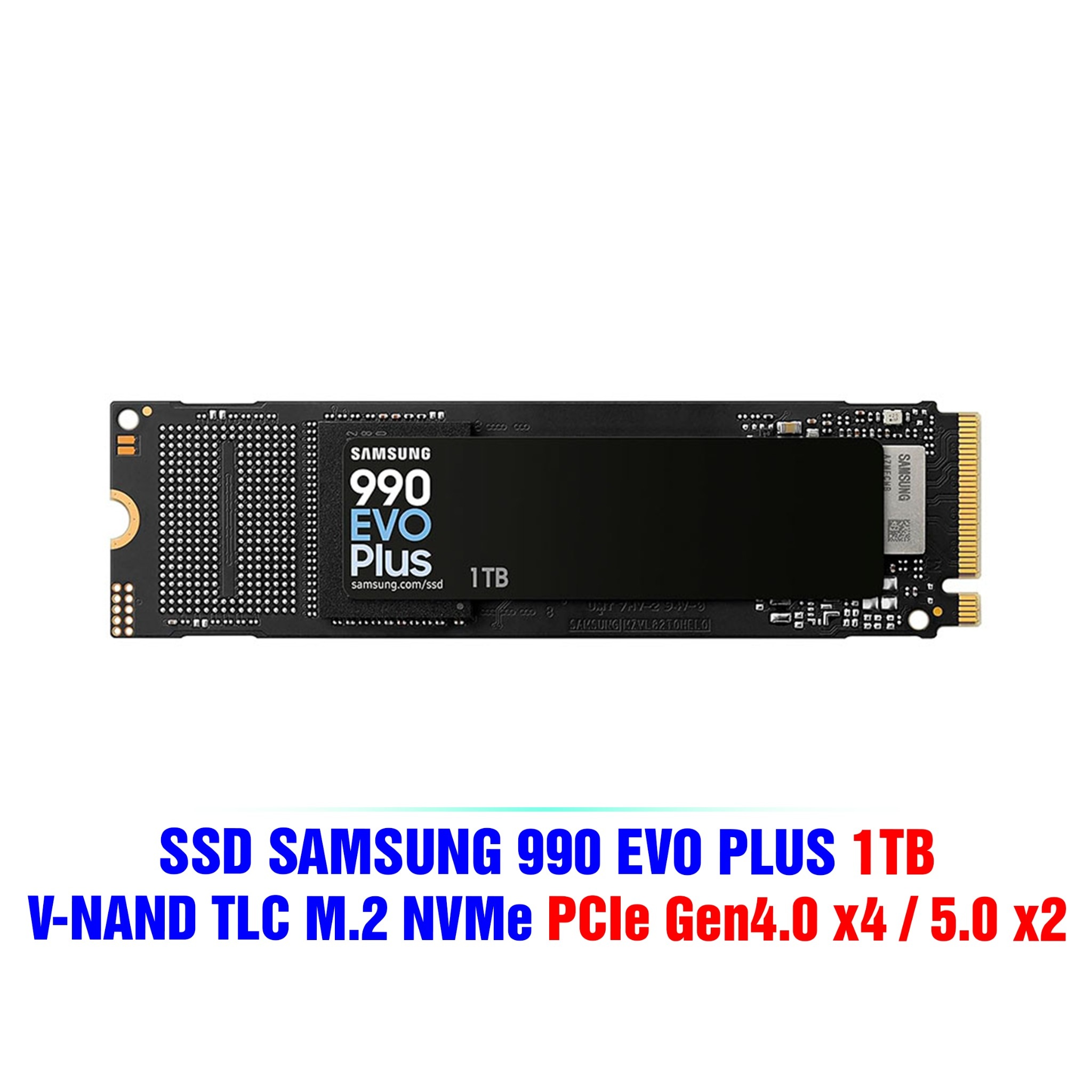 2_a6b6301c45614ff18b6b55c5055d513e