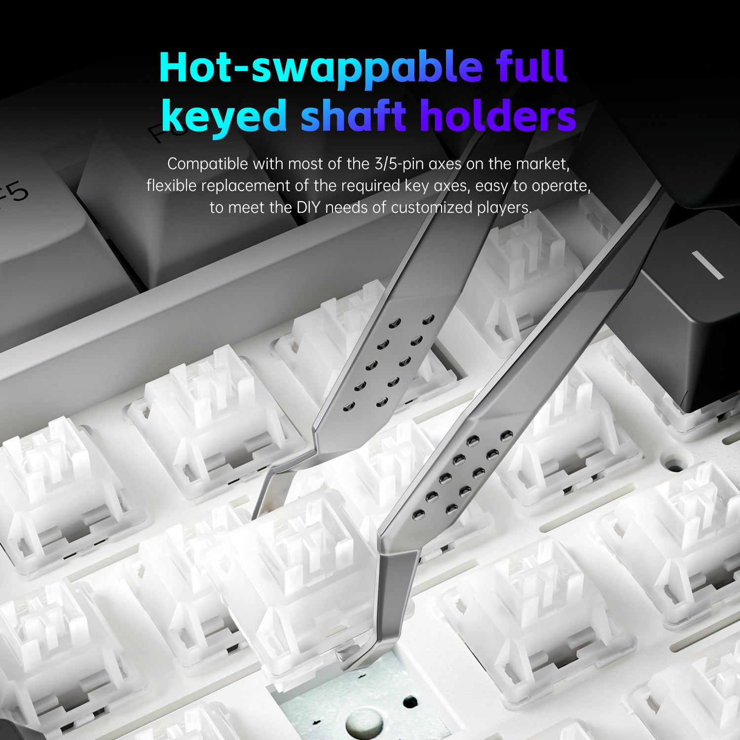 2_f0db7083-15c0-4ac6-8f16-499f63dbfbec_1800x1800