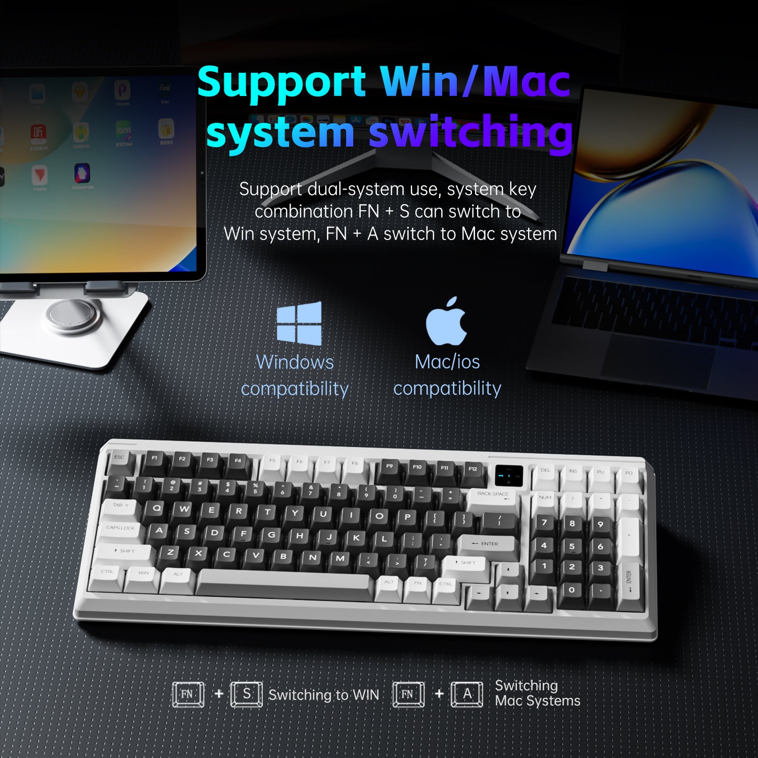 5_4052b7cc-18b4-4155-b0ca-e20daf67f40b_1800x1800