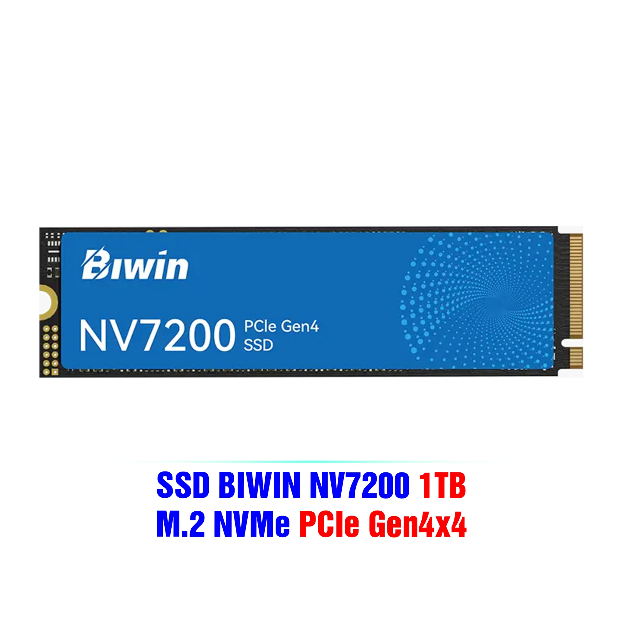 1_b6069107061145fe91256bab84c651d8